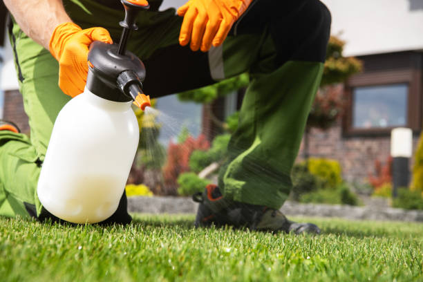 Best Exterminator Services  in Forked River, NJ